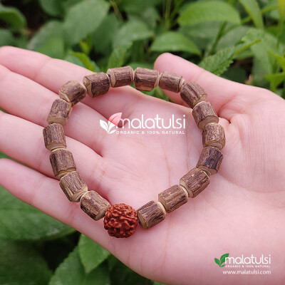 Raw Tulsi Beads Hand Bracelet with Rudraksha From Vrindavan