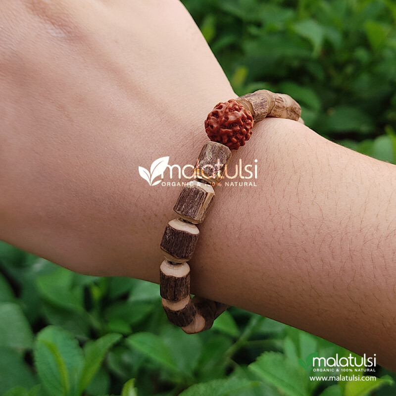 Raw Tulsi Beads Hand Bracelet with Rudraksha From Vrindavan